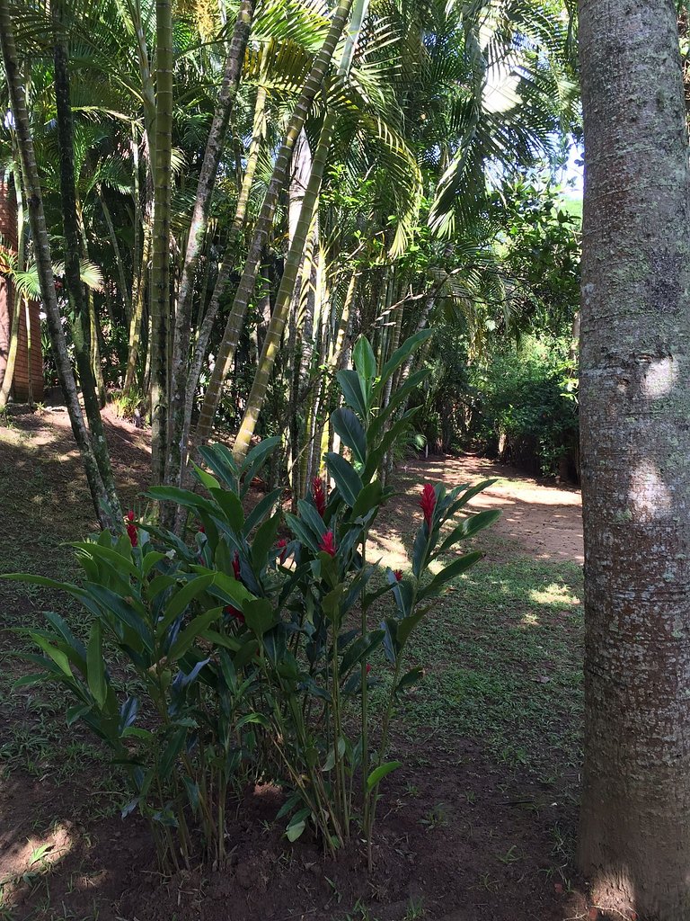 Riviera: M4 Giardino 44A, Fronte spiaggia, 3+1 Camere da let
