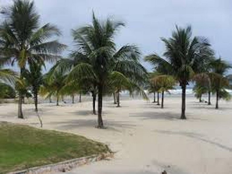 Bertioga Boracéia Praia MataAtlântica Aluguel Imóvel Casa