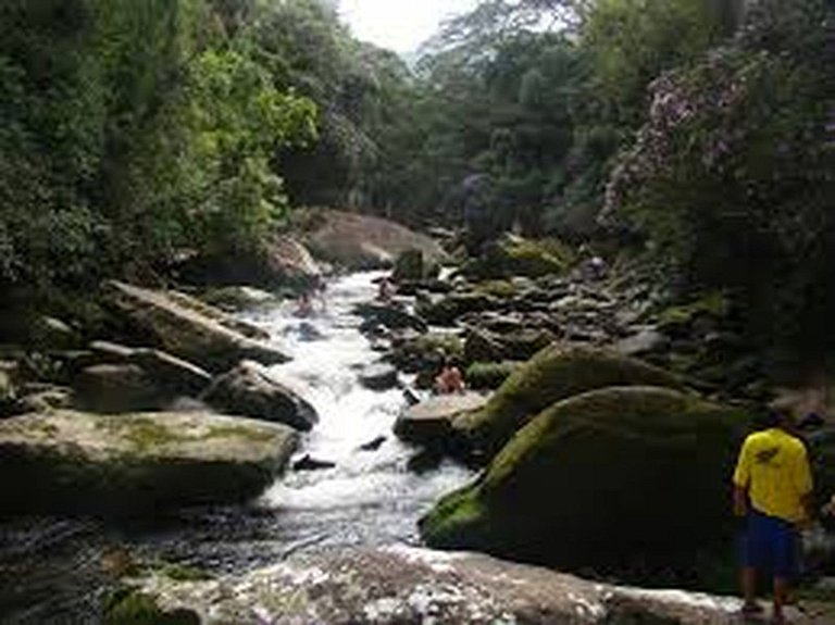Bertioga Boracéia Praia MataAtlântica Aluguel Imóvel Casa