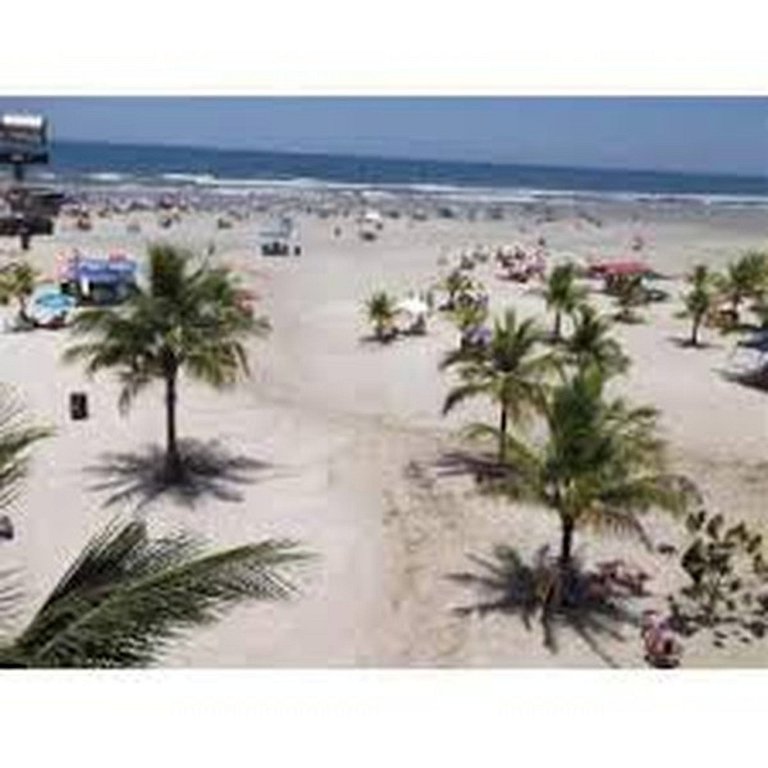 Bertioga Boracéia Praia MataAtlântica Aluguel Imóvel Casa