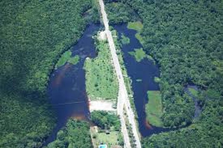 Bertioga Boracéia Praia MataAtlântica Aluguel Imóvel Casa