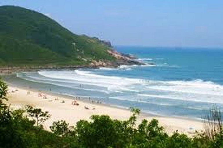Bertioga Boracéia Praia MataAtlântica Aluguel Imóvel Casa