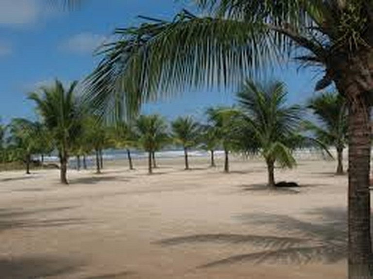 Bertioga Boracéia Praia MataAtlântica Aluguel Imóvel Casa