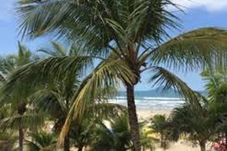 Bertioga Boracéia Praia MataAtlântica Aluguel Imóvel Casa
