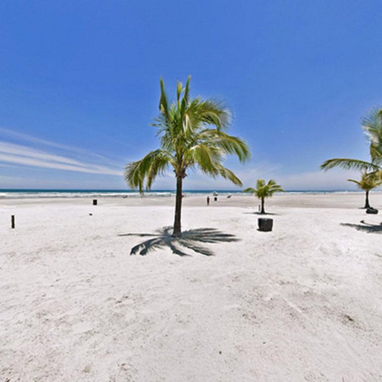 Bertioga Boracéia Praia MataAtlântica Aluguel Imóvel Casa